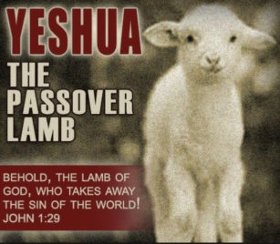https://www.hebrootsdiscipleship.com/wp-content/uploads/2018/04/Passover-lamb1-307x268.jpg