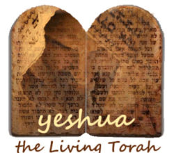 https://www.hebrootsdiscipleship.com/wp-content/uploads/2018/04/yeshua-living-torah-1-250x220.jpg