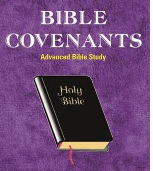 https://www.hebrootsdiscipleship.com/wp-content/uploads/2019/08/Bible_Covenants-300x335.jpg
