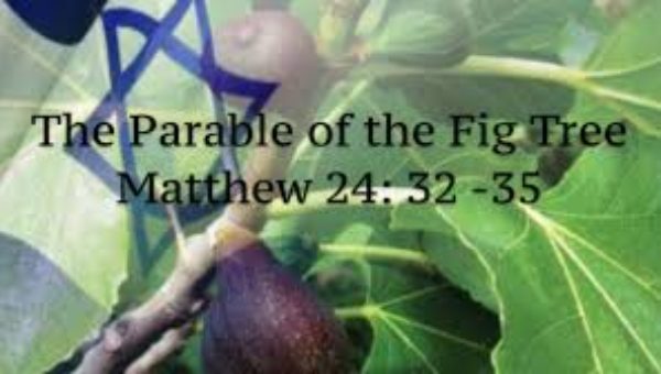 https://www.hebrootsdiscipleship.com/wp-content/uploads/2019/08/Parable_Fig_Tree-600x340.jpg