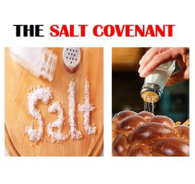 https://www.hebrootsdiscipleship.com/wp-content/uploads/2019/08/Salt_Covenant_slide-385x365.jpg
