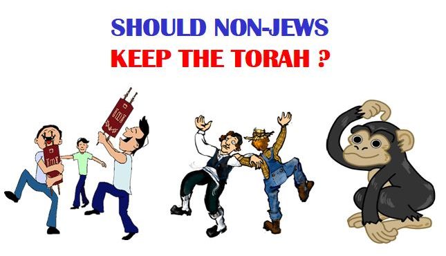 https://www.hebrootsdiscipleship.com/wp-content/uploads/2019/08/Should_Christians_Follow_Torah-1-645x370.jpg