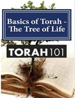 https://www.hebrootsdiscipleship.com/wp-content/uploads/2019/08/Torah_101-250x320.jpg